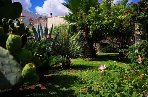 Specchia Bed & Breakfast | Masseria De Donno