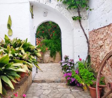 Alessano Bed & Breakfast | Masseria delle Rose 1760