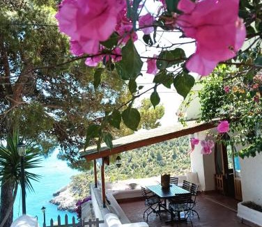 Vieste Villa | NSM Villa Carlotta E Villa Guarda che Mare con vista panoramica