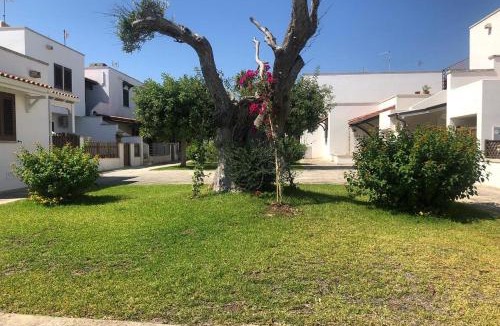 Roca Vecchia Apartment | Odegos appartamento Matilda