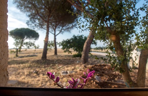 Giorgilorio House | Once upon a time in Masseria Sitamara