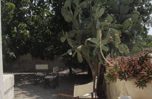 Conca Specchiulla House | Otranto: Apartment/flat in farm close to Otranto