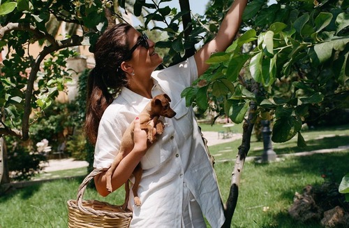 Ruvo di Puglia Villa | Phoenician Villa - Ethnobotanical Cuisine