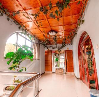Arada Hotel | Ras Amba Hotel