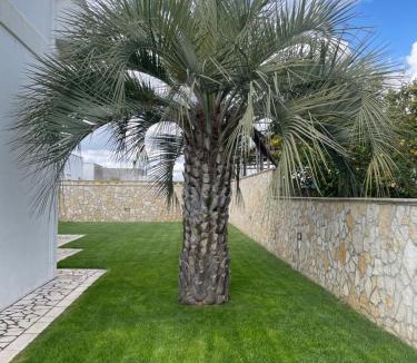 Palmariggi House | Salento nel cuore