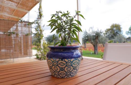 Alessano House | Tenuta Cesarina