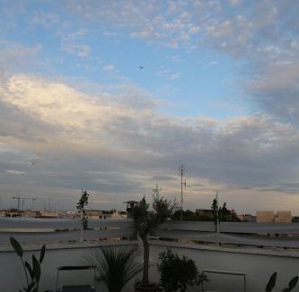 Rutigliano Bed & Breakfast | TERRAZZE BS