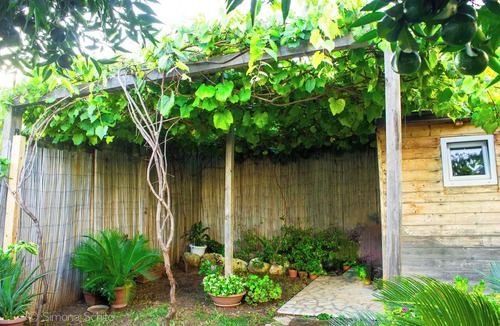 Serrano Apartment | The Green House - Suite with Garden view