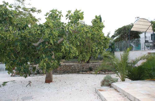 Locorotondo Villa | Trullo Aniello