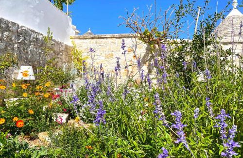 The Trulli of Alberobello House | Trullo Aprìco