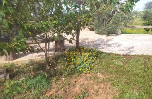 Alliste House | Trullo Contrada Stracca