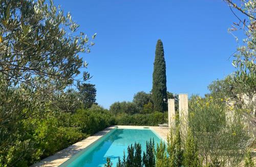 L'Assunta House | Ulivo