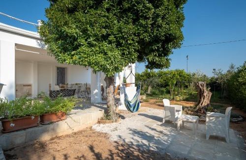 Il Monte House | Villa Grazia
