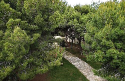 Lendinuso Villa | Villa Memia