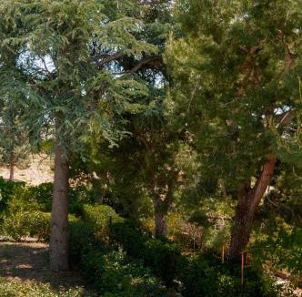Castellana Grotte Apartment | Villa Tra i Pini - Green & Relax