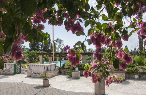 Specchia Villa | Villa with large pool and jacuzzi for large group m350