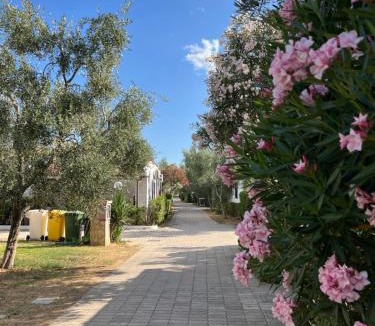 Montincello Resort | Villaggio Almar