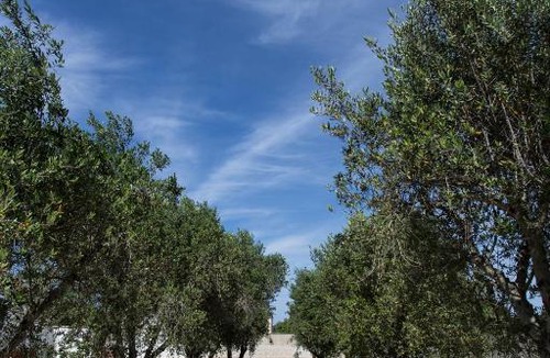 Lecce Apartment | Villetta dei Nespoli |SITCase