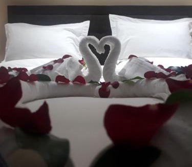 Debre Zeyit Hotel | Yatu International Hotel