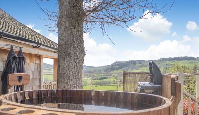 1 bedroom accommodation in Llangyniew