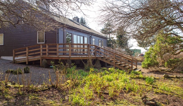 Blue Lobster by Interhome