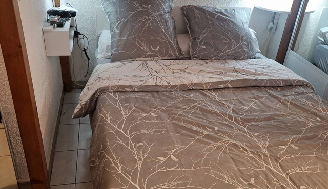 Charming studio with mezzanine, Nice Parc Phoenix, near train station and airport.