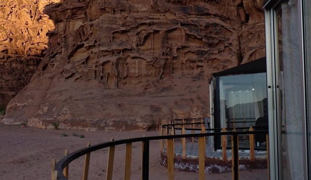 Desert tree camp