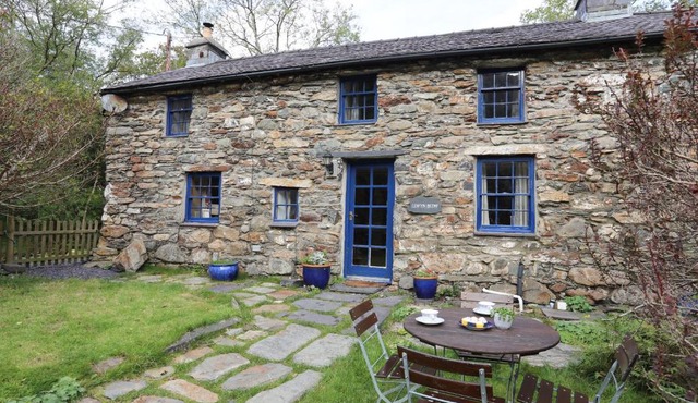 Llwyn Bedw