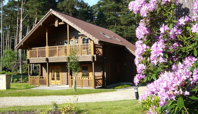 The Dorset Resort