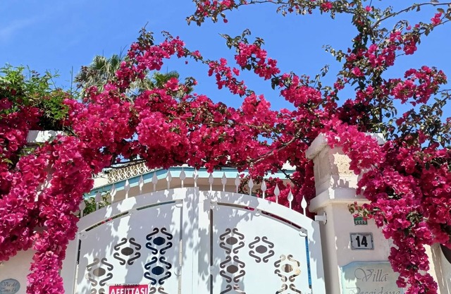 Villa Posti Letto Metri Dal Mare 