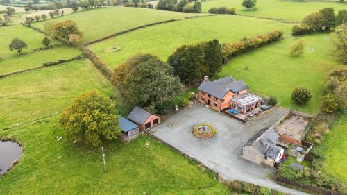 Newydd 