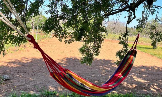 Lizzanello Bed & Breakfast | 45 m² Bed and breakfast ∙ 5 guests