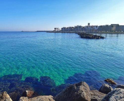 Mola di Bari Apartment | 55 m² Apartment ∙ 4 guests