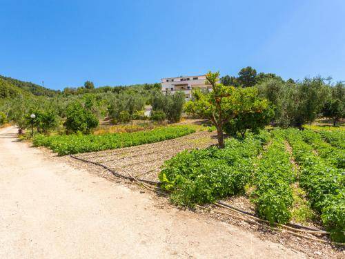 Peschici Apartment | Apartment ∙ 1 bedroom ∙ 4 guests