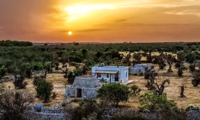 Salve House | Casa Barzò - surrounded by olive trees