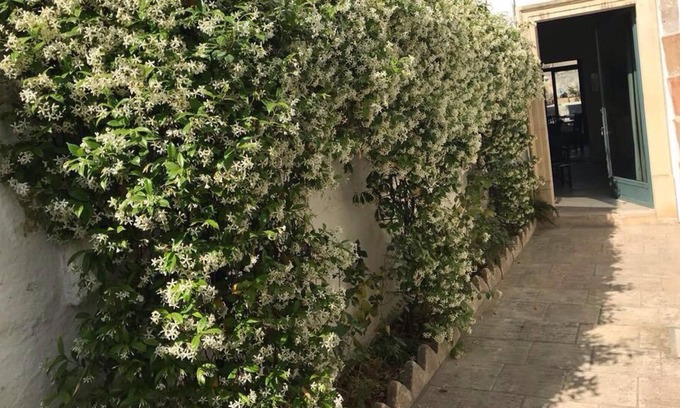 Spongano Hostel | CASA CESARINA - In the heart of the lower Salento