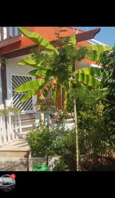 Cozze House | Catullo Bags&Beach