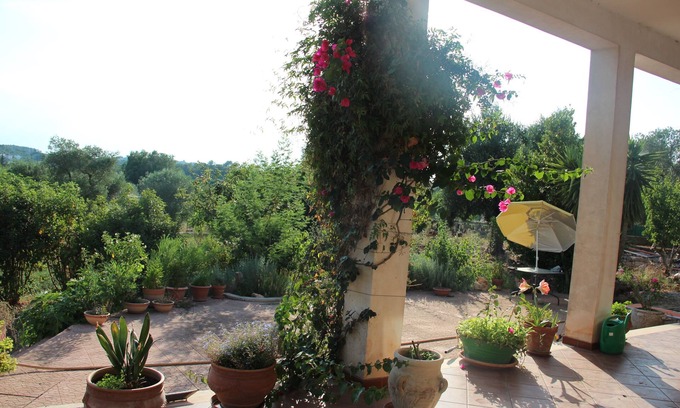 Ceglie Messapica House | Country house "Casa Mia" in the evergreen olive grove