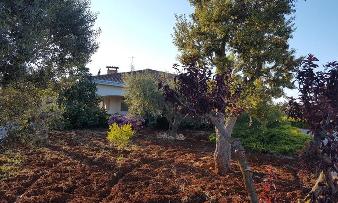 Conversano Villa | La civetta Rodonisa