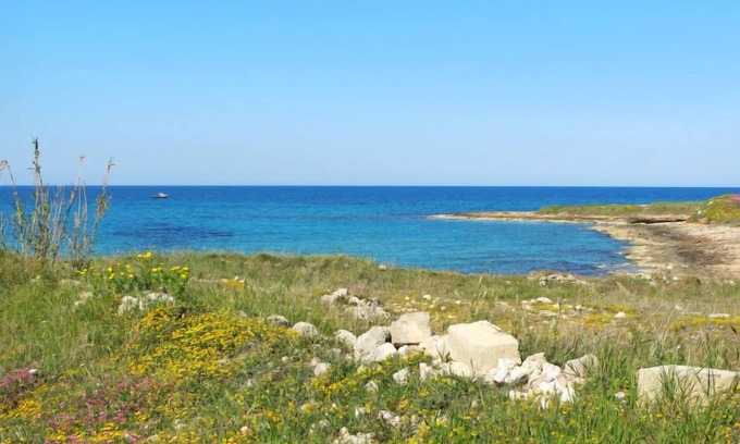 Ceglie Messapica House | Trullo Selva by Interhome