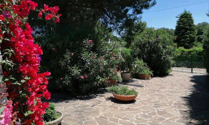 Locorotondo House | Valle d'Itria fiorita