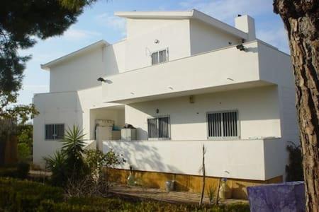 Municipio 1 Villa | Villa Alma