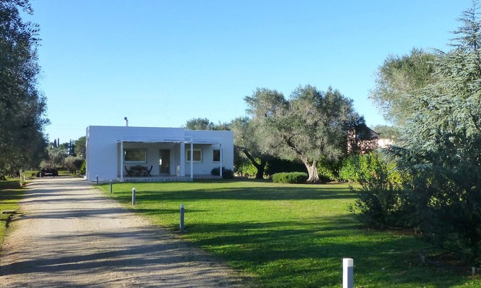 Mesagne Villa | Villa L'Ulivo Maestro