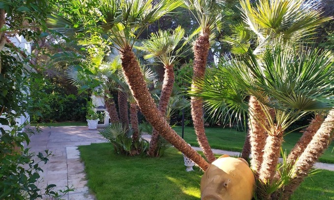 Rosa Marina Villa | Villa Rosa Marina 100 meters from the sea