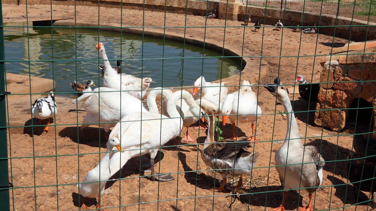 Photo of Others in Lucugnano