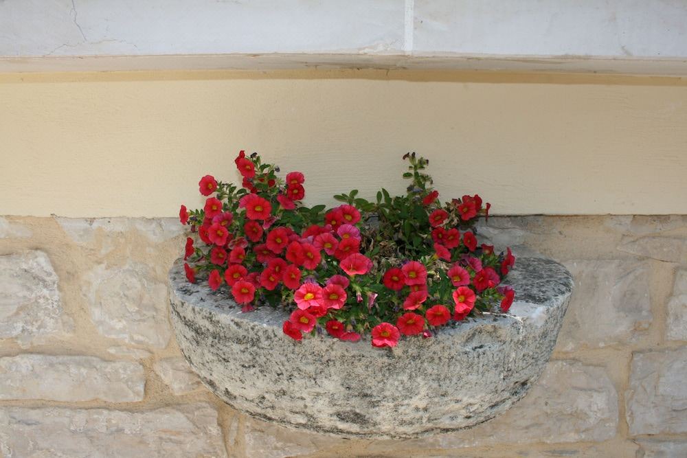 Photo of Others in Ruvo di Puglia