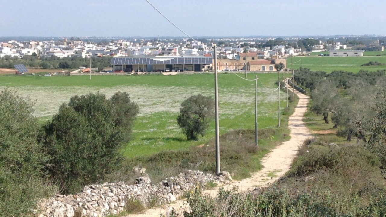 Photo of Outdoor in Caprarica di Lecce