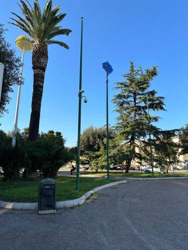 Photo of Others in Foggia