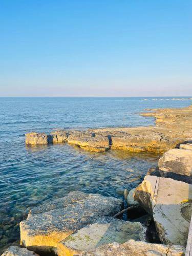 Photo of Others in Bisceglie