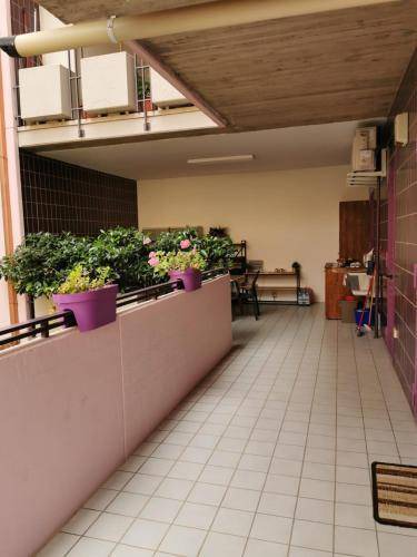 Photo of Others in Foggia